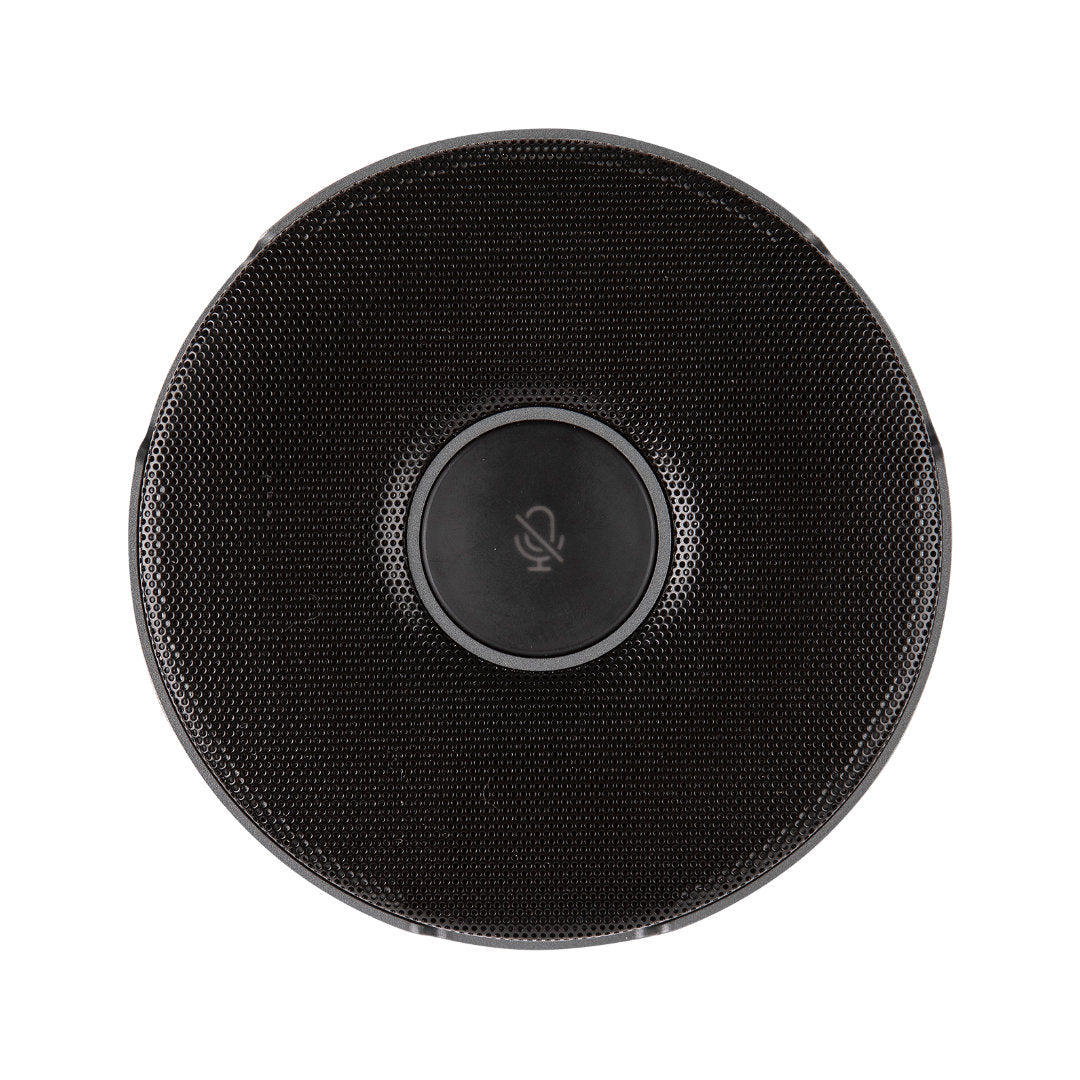 Par de microfones de expansão para GoPresence Teams